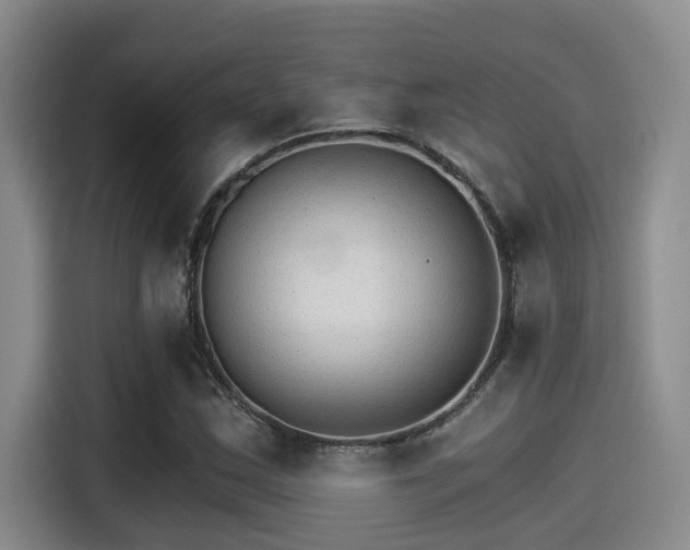 X0000115271163200911061302