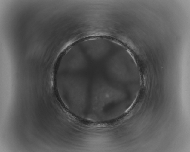 X0000115271165200911061302