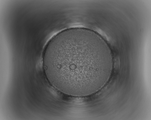X0000115271167200911061302