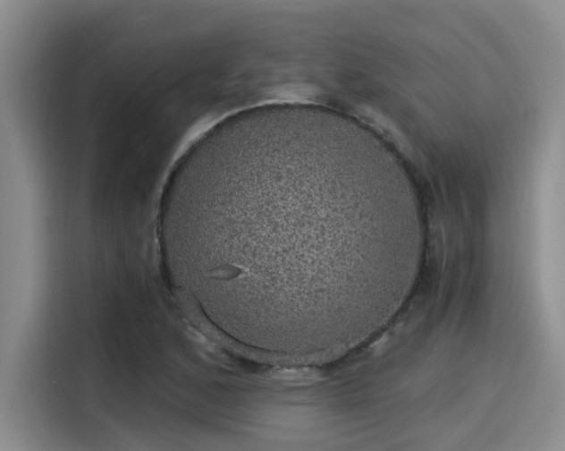X0000115271168200911061302