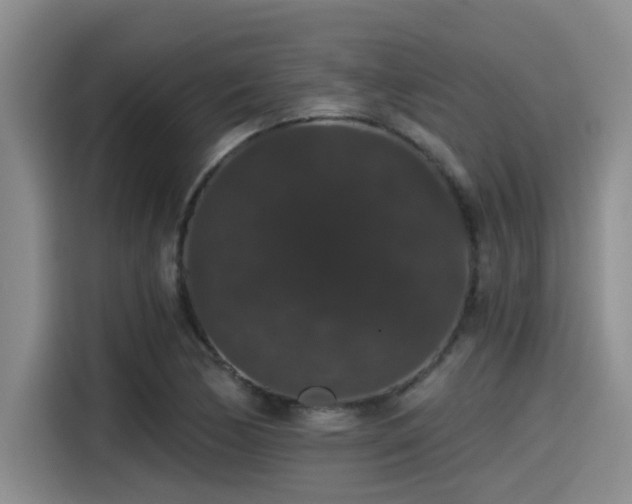 X0000115271170200911061302
