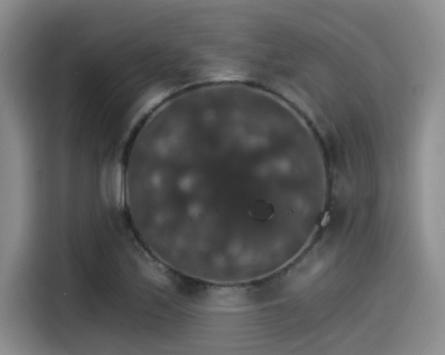X0000115271171200911061302