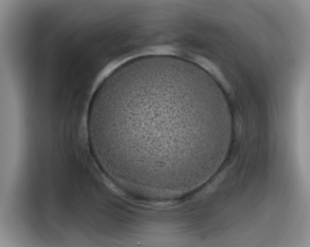 X0000115271176200911061302