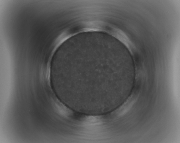 X0000115271179200911061302