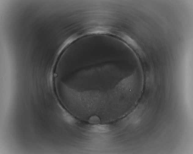 X0000115271181200911061302