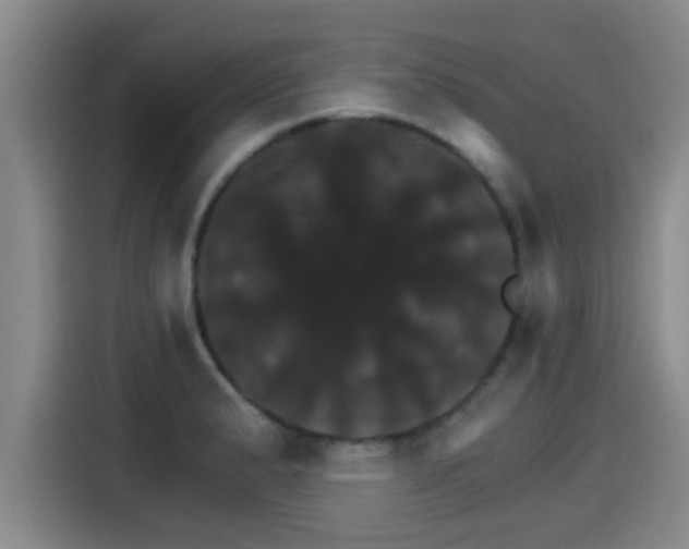 X0000115271183200911061302