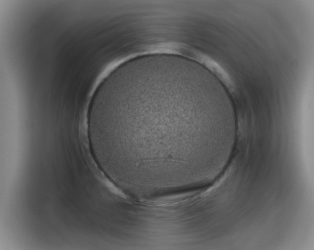 X0000115271184200911061302