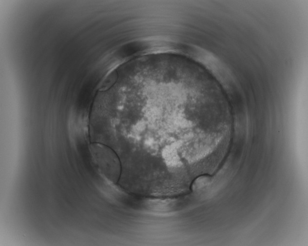 X0000115271185200911061302