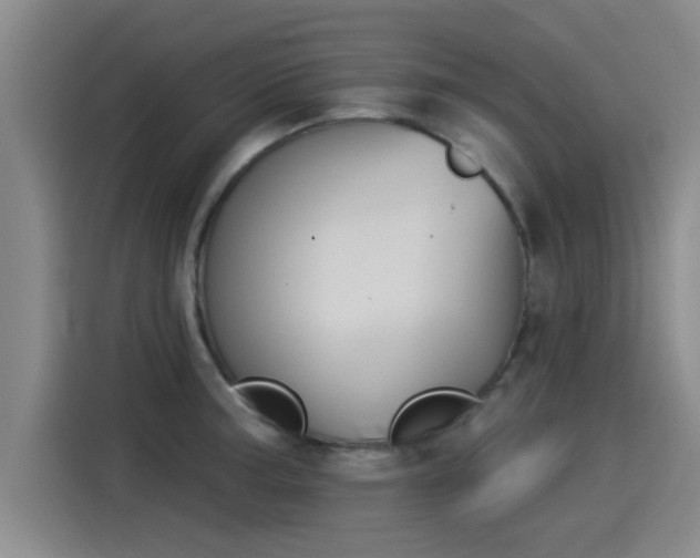 X0000115271187200911061302