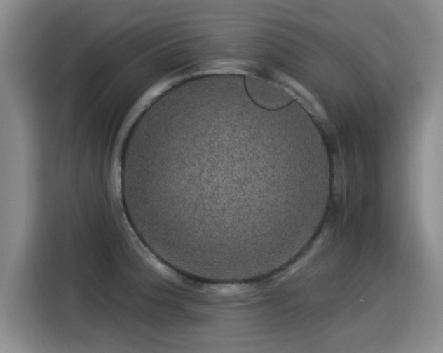 X0000115271188200911061302