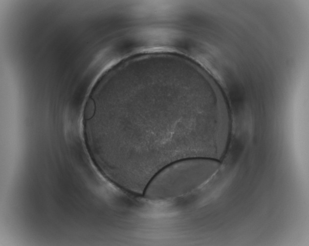 X0000115271189200911061301