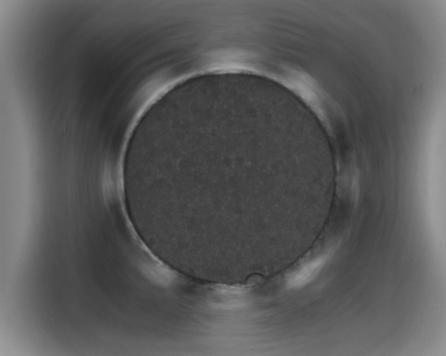 X0000115271191200911061301