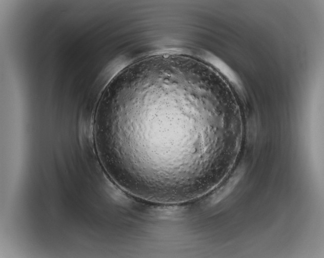 X0000115271193200911061301