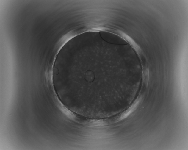 X0000115271194200911061301