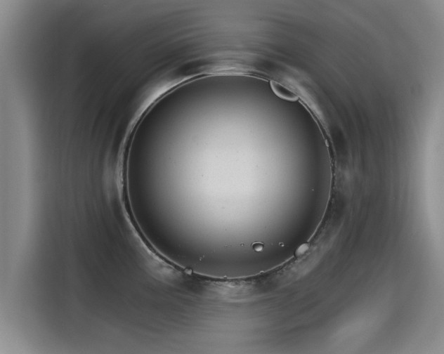 X0000115271195200911061301