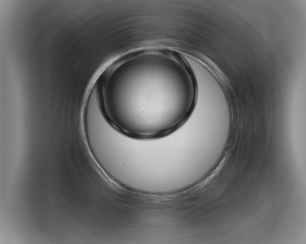 X0000115271196200911061301