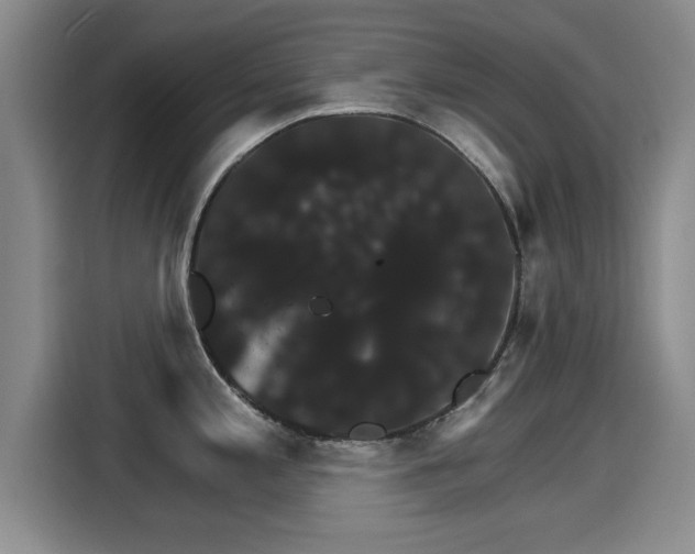 X0000115271197200911061301