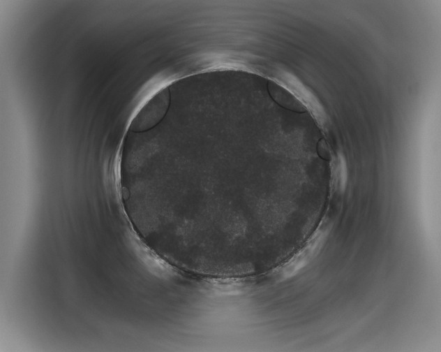 X0000115271198200911061301