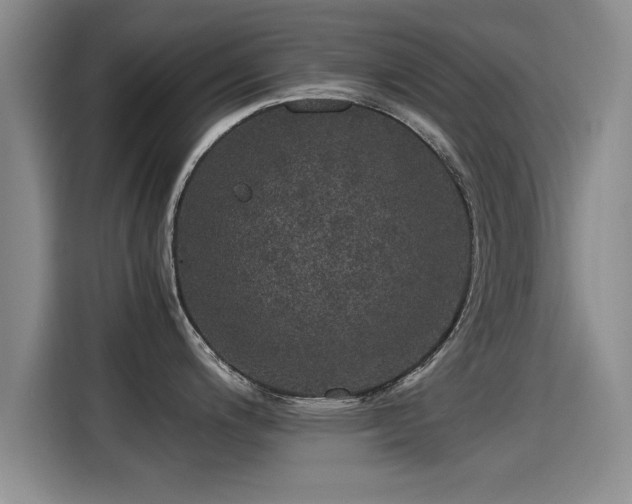 X0000115271200200911061301