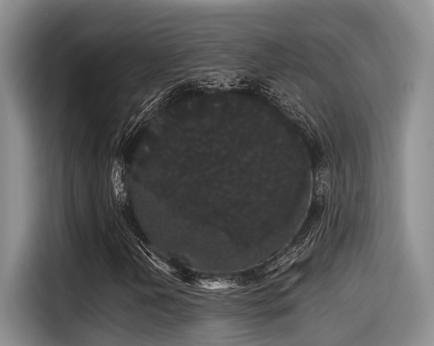 X0000115271202200911061301