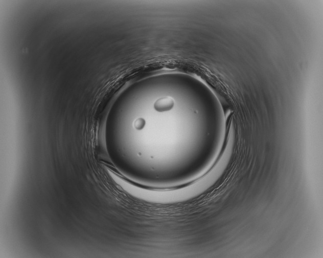 X0000115271203200911061301