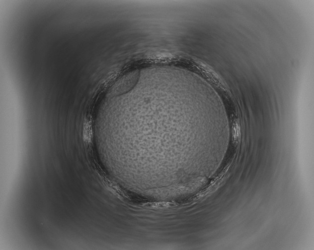 X0000115271204200911061301