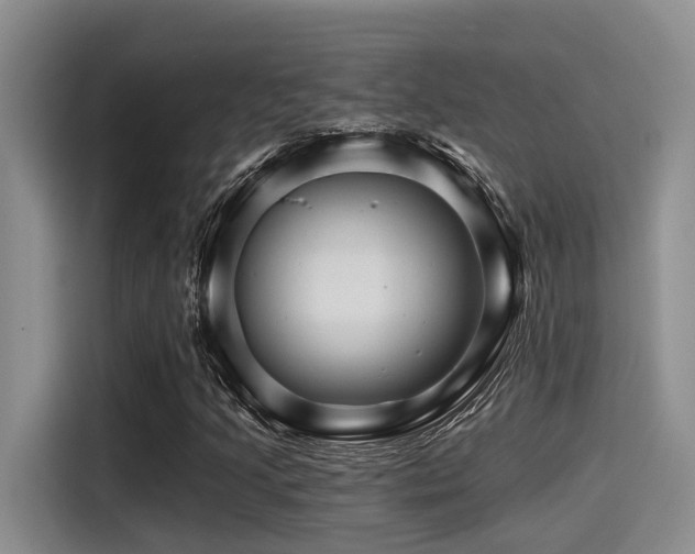 X0000115271205200911061301