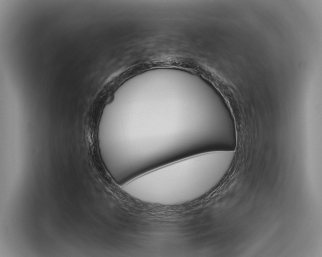 X0000115271206200911061301