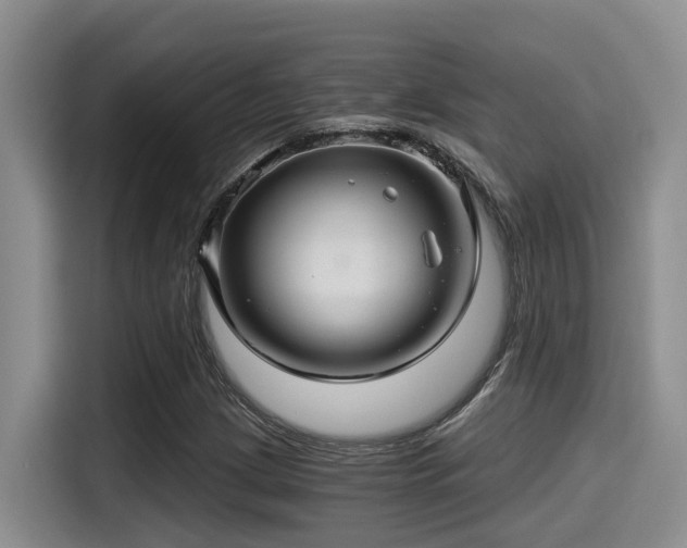 X0000115271209200911061301