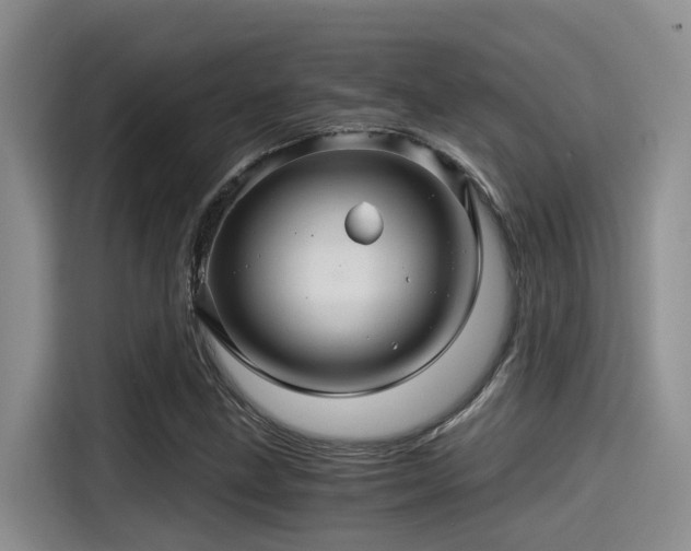 X0000115271211200911061301