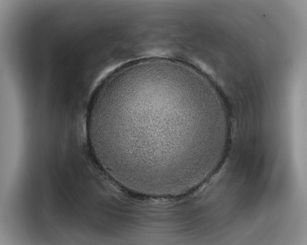 X0000115271214200911061301