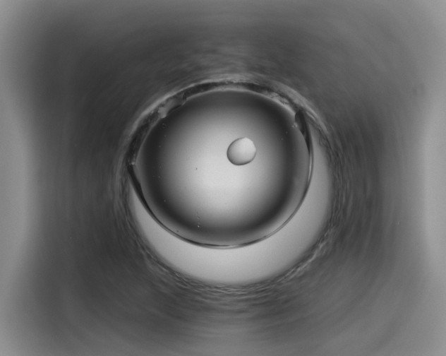 X0000115271215200911061301