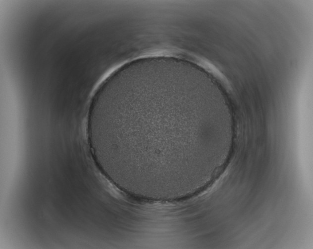 X0000115271216200911061301