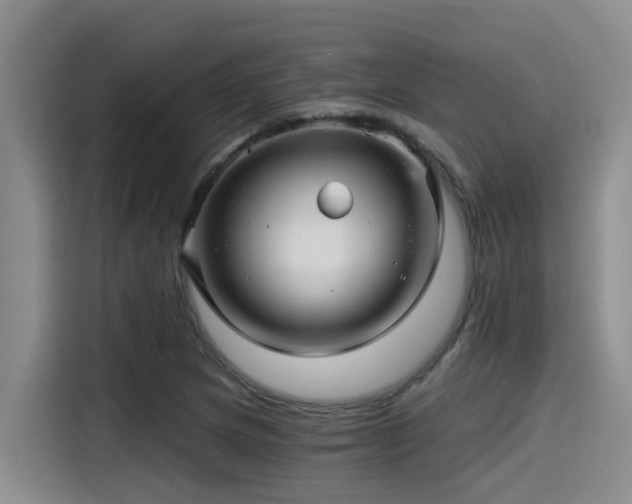 X0000115271217200911061301