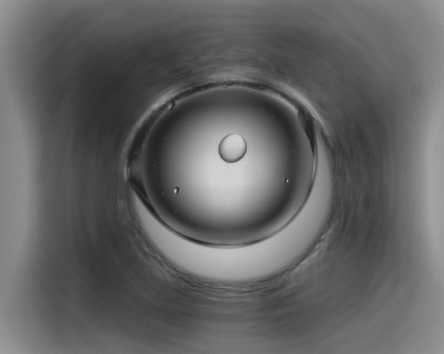 X0000115271219200911061301