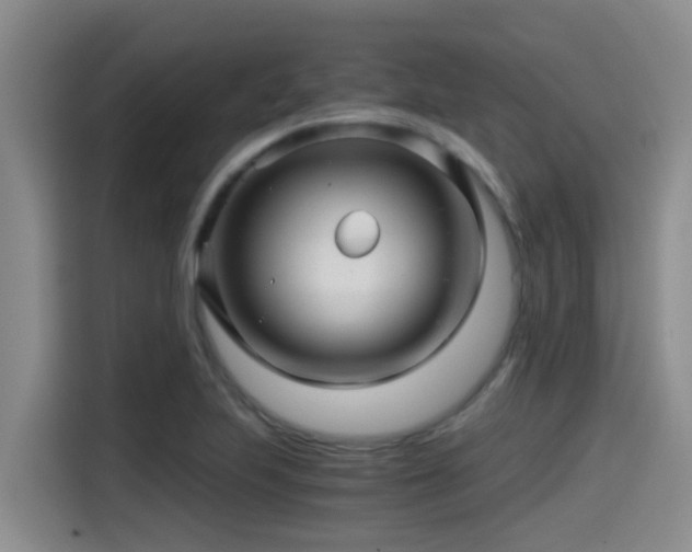 X0000115271223200911061301
