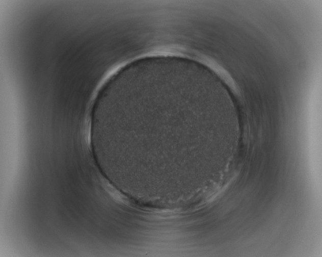 X0000115271224200911061301