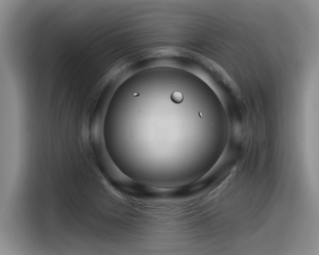 X0000115271225200911061301