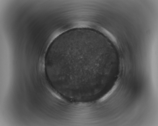 X0000115271226200911061301