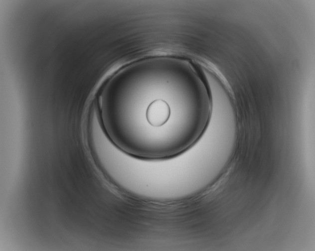 X0000115271227200911061301