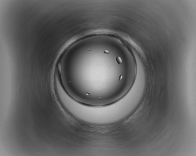 X0000115271229200911061301