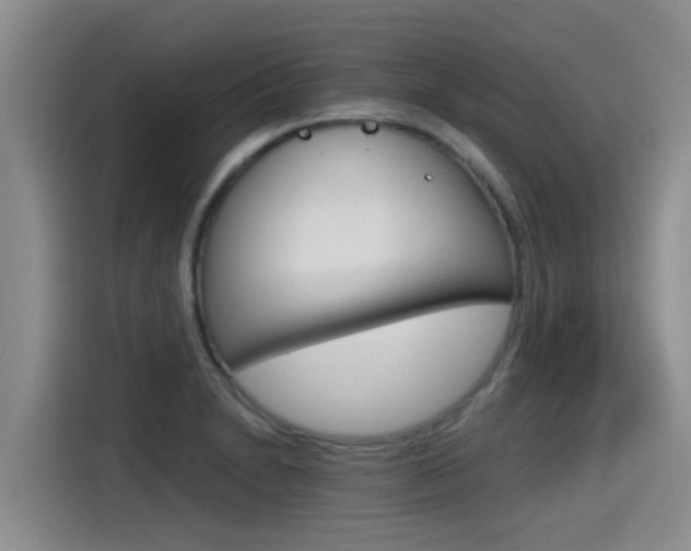 X0000115271230200911061301