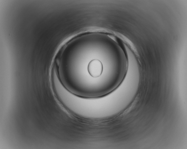 X0000115271231200911061301