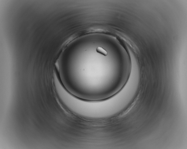 X0000115271233200911061301