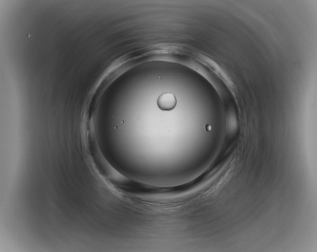 X0000115271235200911061301