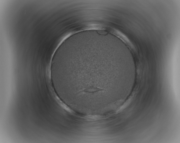 X0000115271236200911061301