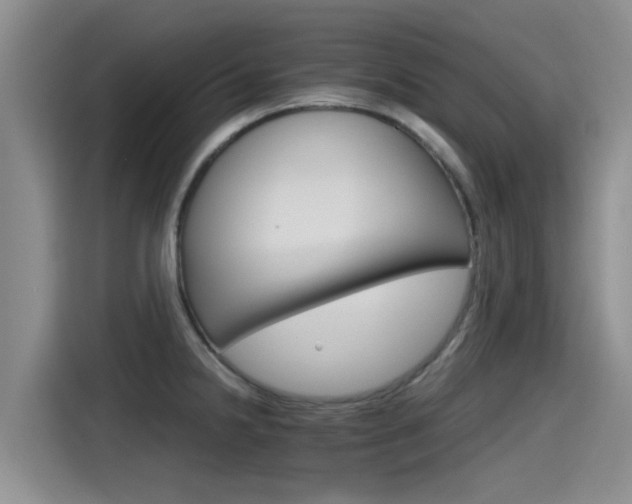 X0000115271238200911061301