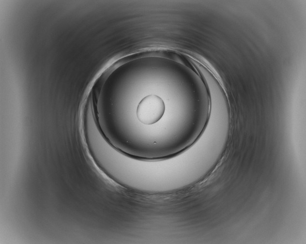 X0000115271243200911061301