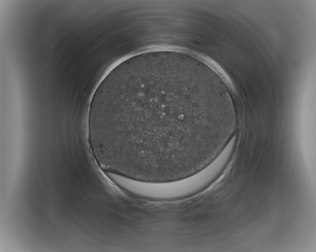 X0000115271244200911061301