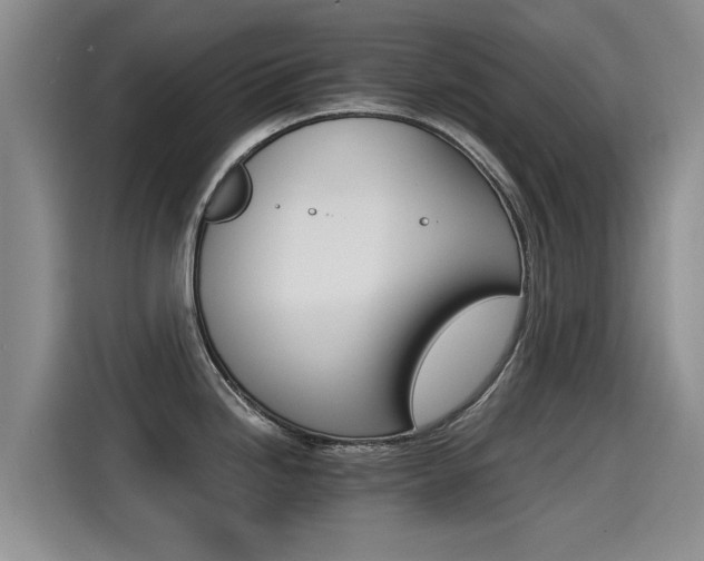 X0000115271246200911061301